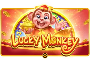 i9bet333